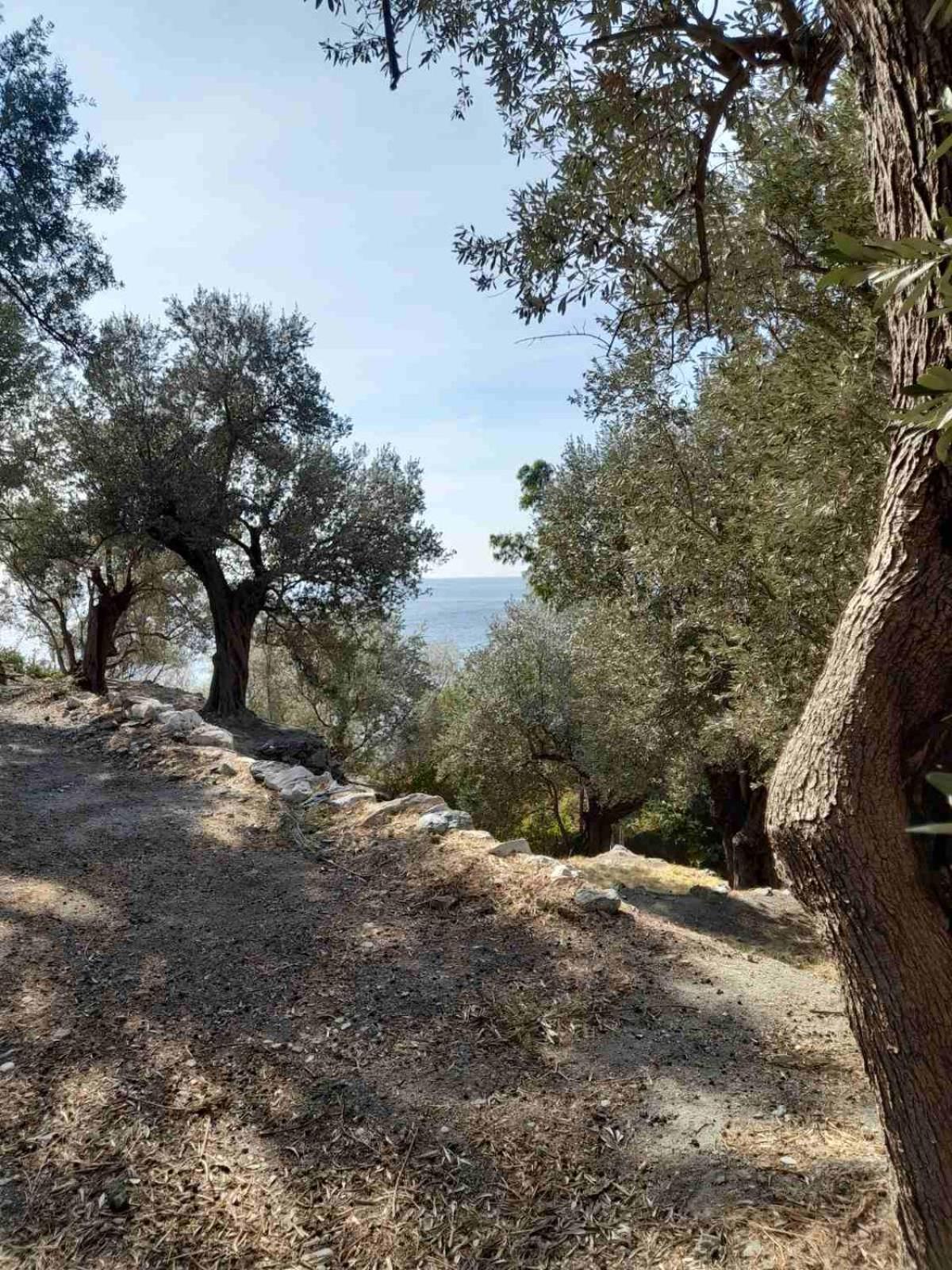 Δωμάτια Κόκκινος Πύργος Plomari Exterior foto